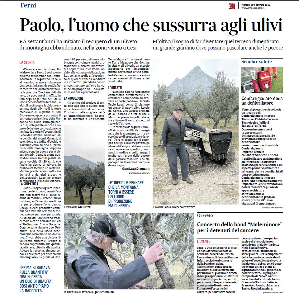 Paolo Lucci dal messaggero del 20 02 2018